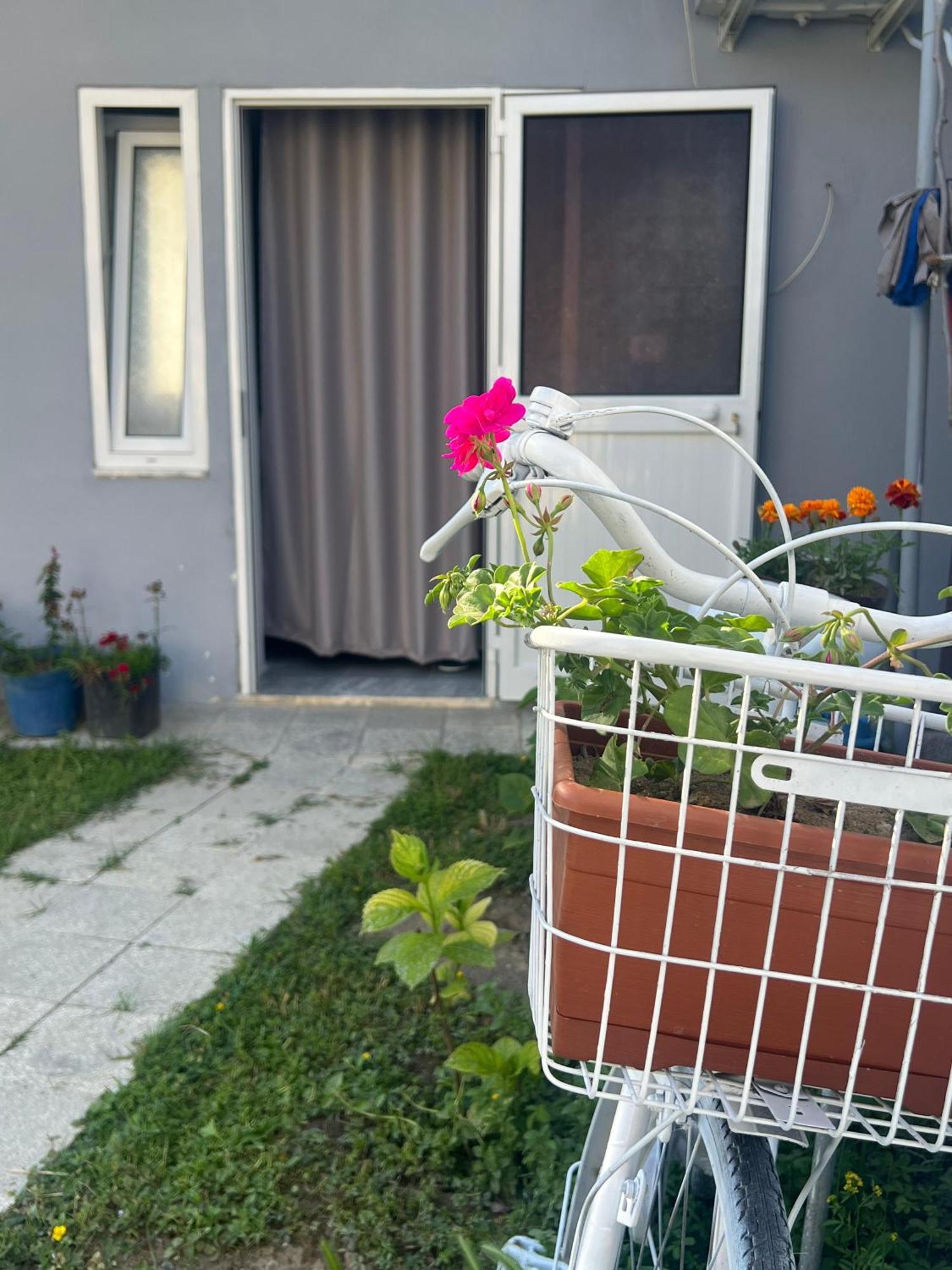 שקודר Happy Corner Guest House מראה חיצוני תמונה